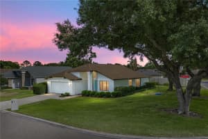 2317 Walden Pl N, PLANT CITY