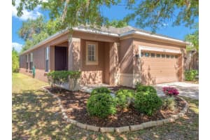 8427 Deer Chase Dr, RIVERVIEW