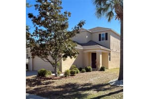 8623 DEEP MAPLE DRIVE, RIVERVIEW, FL 33578 - MLS#MFRTB8502228