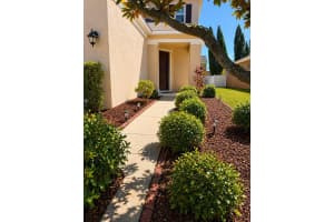 8623 DEEP MAPLE DRIVE, RIVERVIEW, FL 33578 - MLS#MFRTB8502228
