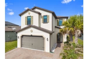 4588 San Martino Dr, WESLEY CHAPEL