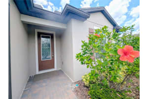 18810 BIRCHWOOD GROVES DRIVE, LUTZ, FL 33558 - MLS#MFRTB8502255