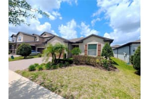 18810 BIRCHWOOD GROVES DRIVE, LUTZ, FL 33558 - MLS#MFRTB8502255