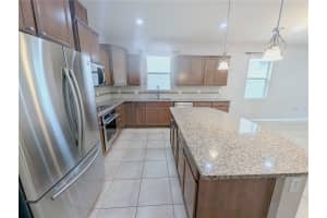 18810 BIRCHWOOD GROVES DRIVE, LUTZ, FL 33558 - MLS#MFRTB8502255