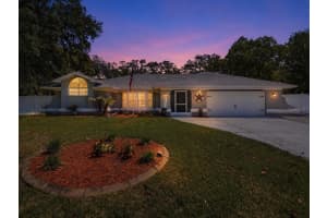11503 TRUMBULL DRIVE, SPRING HILL, FL 34609 - MLS#MFRTB8502264