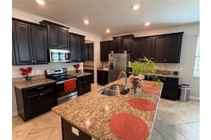 13905 ROSEATE TERN LANE, RIVERVIEW, FL 33579 - MLS#MFRTB8502266
