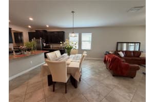 13905 ROSEATE TERN LANE, RIVERVIEW, FL 33579 - MLS#MFRTB8502266