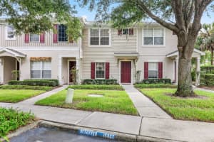 15807 Fishhawk Falls Dr, LITHIA