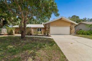 1470 BURNHAM LANE, DUNEDIN, FL 34698 - MLS#MFRTB8502300