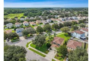 18907 RANDALL PLACE, LAND O LAKES, FL 34638 - MLS#MFRTB8502344