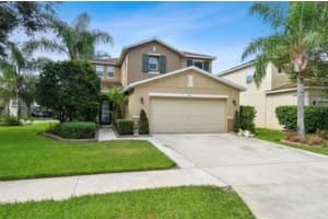 18907 RANDALL PLACE, LAND O LAKES, FL 34638 - MLS#MFRTB8502344