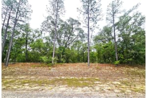 576 NEMO DRIVE, DUNNELLON, FL 34434 - MLS#MFRTB8502375