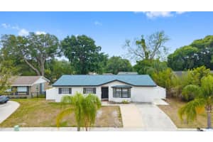 2310 KNOLLWOOD PLACE, TAMPA, FL 33604 - MLS#MFRTB8502376