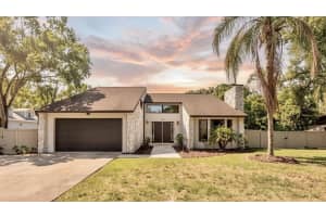 3304 Moran Rd, TAMPA