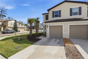 5218 MEYER BESSIE STREET, ZEPHYRHILLS, FL 33541 - MLS#MFRTB8502425
