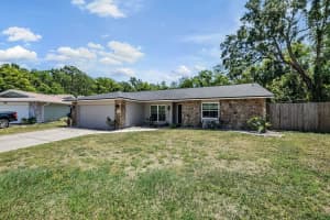 4218 SUMMERDALE DRIVE, TAMPA, FL 33624 - MLS#MFRTB8502463