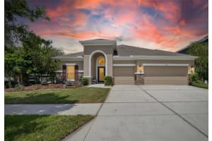 11321 Scribner Station Ln, LITHIA