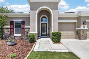 11321 SCRIBNER STATION LANE, LITHIA, FL 33547 - MLS#MFRTB8502499