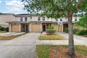 5809 Leopardstown Dr, TAMPA