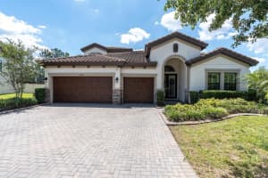 12858 BURNS DRIVE, ODESSA, FL 33556 - MLS#MFRTB8502516