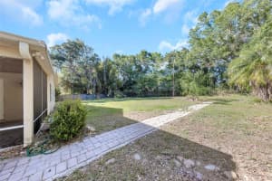 4101 WINDTREE DRIVE, TAMPA, FL 33624 - MLS#MFRTB8502526