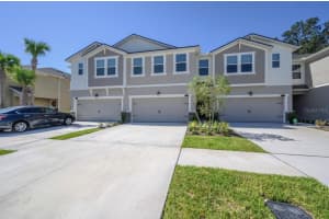 10128 Newel Valley Loop, RIVERVIEW