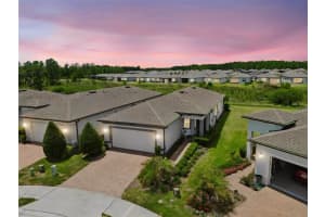 5695 Bay Tide Ct, LAND O LAKES