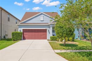 18928 Hampstead Heath Ct, LAND O LAKES