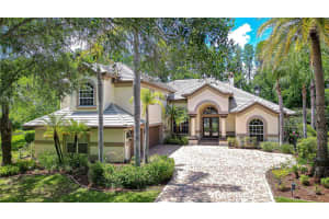 20915 LAKE VIENNA DRIVE, LAND O LAKES, FL 34638 - MLS#MFRTB8502586