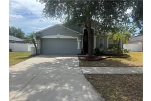 13464 Fladgate Mark Dr, RIVERVIEW