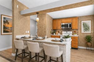 105 KILSYTHE STREET, OLDSMAR, FL 34677 - MLS#MFRTB8502588