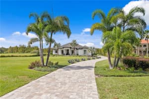 10521 BROADLAND PASS, THONOTOSASSA, FL 33592 - MLS#MFRTB8502599