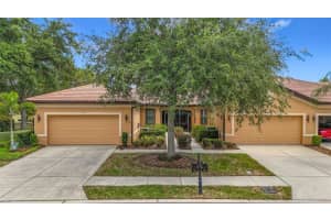 206 Shell Falls Dr, APOLLO BEACH