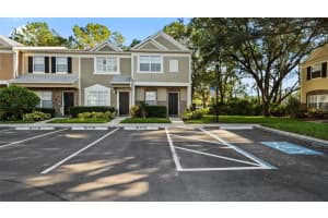 12444 Berkeley Square Dr, TAMPA