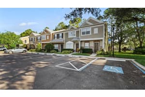 12444 BERKELEY SQUARE DRIVE, TAMPA, FL 33626 - MLS#MFRTB8502615