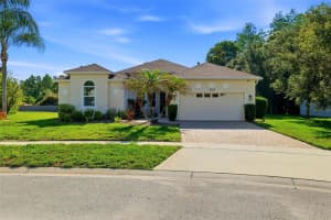 8724 PRESTON WOODS COURT, LAND O LAKES, FL 34638 - MLS#MFRTB8502650
