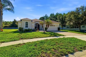 8724 PRESTON WOODS COURT, LAND O LAKES, FL 34638 - MLS#MFRTB8502650