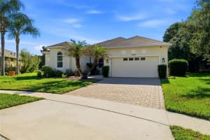 8724 PRESTON WOODS COURT, LAND O LAKES, FL 34638 - MLS#MFRTB8502650