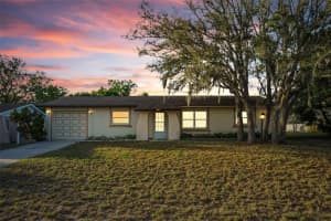 11031 Heathwood Ave, SPRING HILL