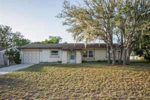11031 HEATHWOOD AVENUE, SPRING HILL, FL 34608 - MLS#MFRTB8502683