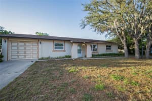 11031 HEATHWOOD AVENUE, SPRING HILL, FL 34608 - MLS#MFRTB8502683