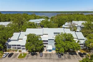 2599 Dolly Bay Dr #302, PALM HARBOR