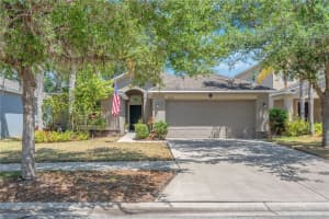 10510 Summer Azure Dr, RIVERVIEW