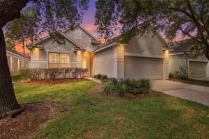 9307 Huntington Park Way, TAMPA