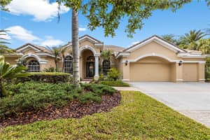 17206 Talence Ct, TAMPA