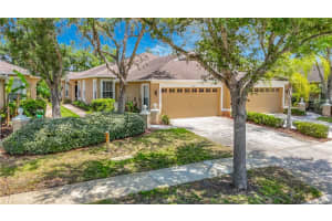 19180 Lake Audubon Dr, TAMPA