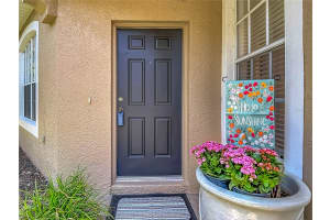 19180 LAKE AUDUBON DRIVE, TAMPA, FL 33647 - MLS#MFRTB8502726