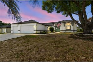 11349 Sand Hill Ave, SPRING HILL
