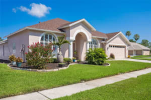 10020 CYPRESS SHADOW AVENUE, TAMPA, FL 33647 - MLS#MFRTB8502768