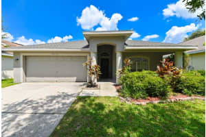 4517 WILD PLUM LANE, LUTZ, FL 33558 - MLS#MFRTB8502775